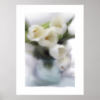 Witte tulpen poster