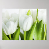 Witte tulpen poster (Voorkant)
