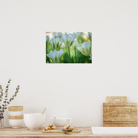 Witte tulpen poster (Keuken)