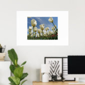 Witte tulpen poster (Thuiskantoor)