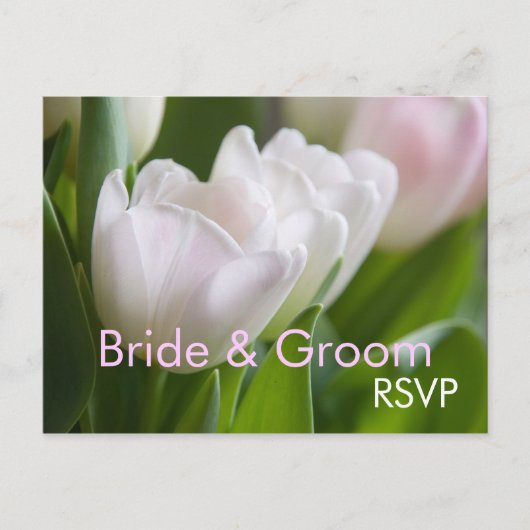 Witte tulpen · RSVP Briefkaart (Voorkant)
