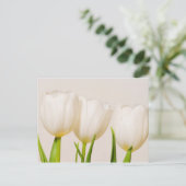 witte tulpen tegen een witte achtergrond, briefkaart (Staand voorkant)