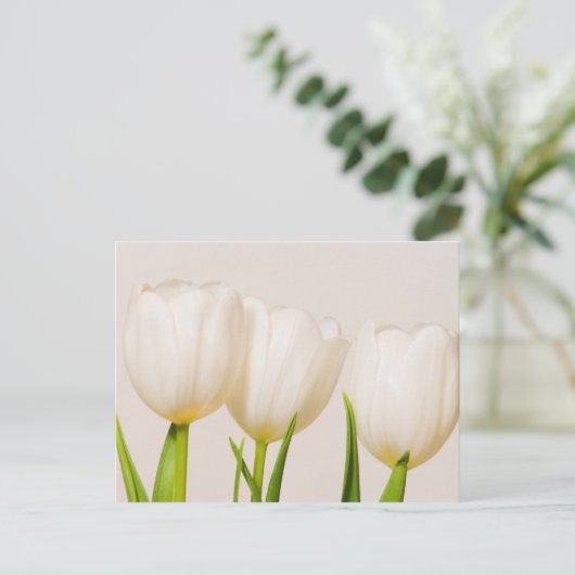 witte tulpen tegen een witte achtergrond, briefkaart (Staand voorkant)