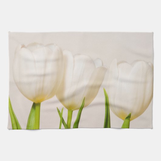 Witte tulpen tegen een witte achtergrond, theedoek (Horizontaal)