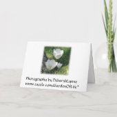 Witte tulpen Verloving Kaart (Achterkant)