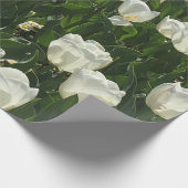 Witte Tulpen voor een delicate bloem. Cadeaupapier (Hoek)