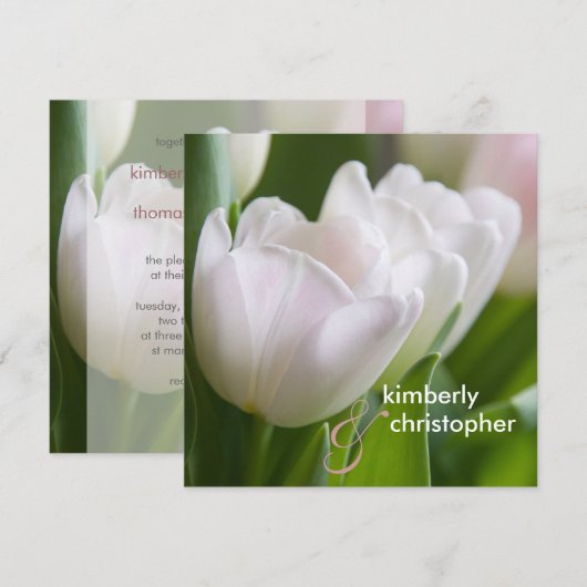 Witte Tulpen ・ Weddenschap Kaart (Voorkant / Achterkant)