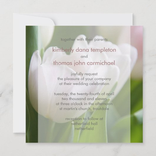 Witte Tulpen ・ Weddenschap Kaart (Achterkant)