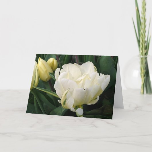 Witte Tulpen Wenskaart Aankondiging (Voorkant)