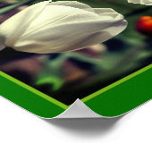 Witte tulpenbloem in zonlicht Abstract Poster (Hoek)