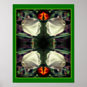 Witte tulpenbloem in zonlicht Abstract Poster