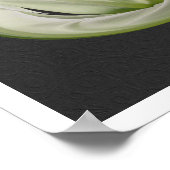 Witte Tulpenbloemblaadjes Floral Art Poster (Hoek)