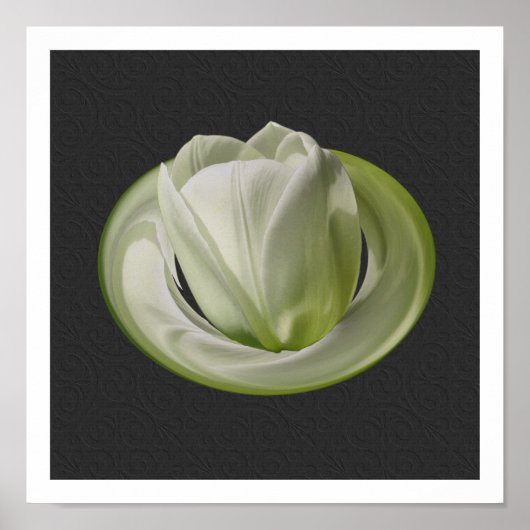 Witte Tulpenbloemblaadjes Floral Art Poster (Voorkant)