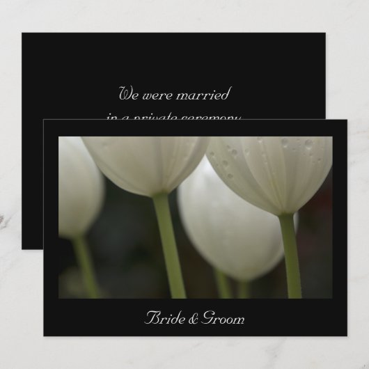 Witte Tulpenhuwelijk / aankondiging van de uitlopi (Voorkant / Achterkant)