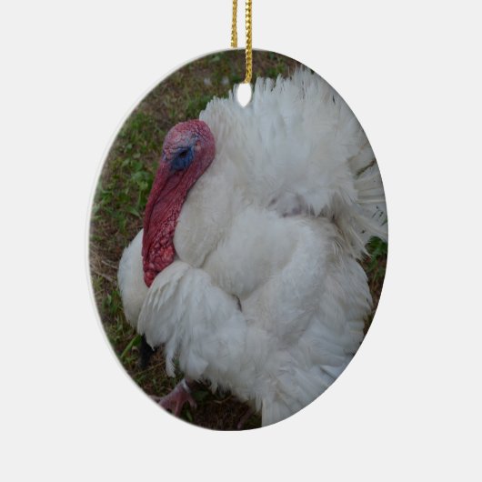 Witte Turkije Keramisch Ornament (Rechts)