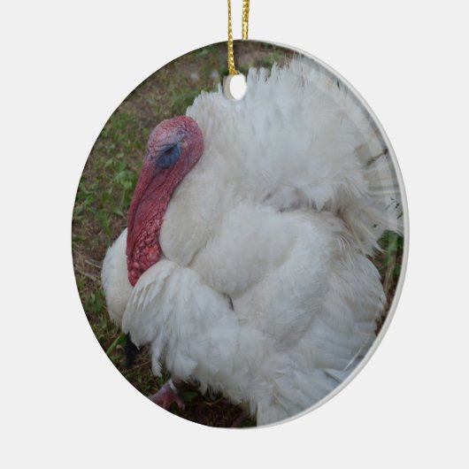 Witte Turkije Keramisch Ornament (Links)