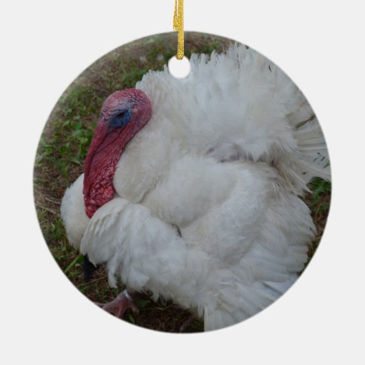 Witte Turkije Keramisch Ornament (Achterkant)