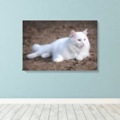Witte turkse angorakat op bruine achtergrond canvas afdruk (Insitu (Houten vloer))