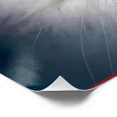 Witte Turkse Angorakat Rode Blauwe Perfect Poster (Hoek)