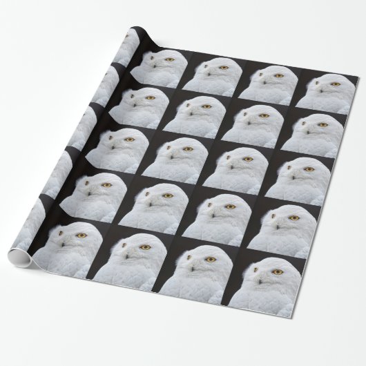Witte Uil Cadeaupapier (Uitgerold)