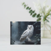 Witte uil in de nacht briefkaart (Staand voorkant)