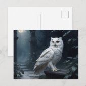 Witte uil in de nacht briefkaart (Voorkant / Achterkant)