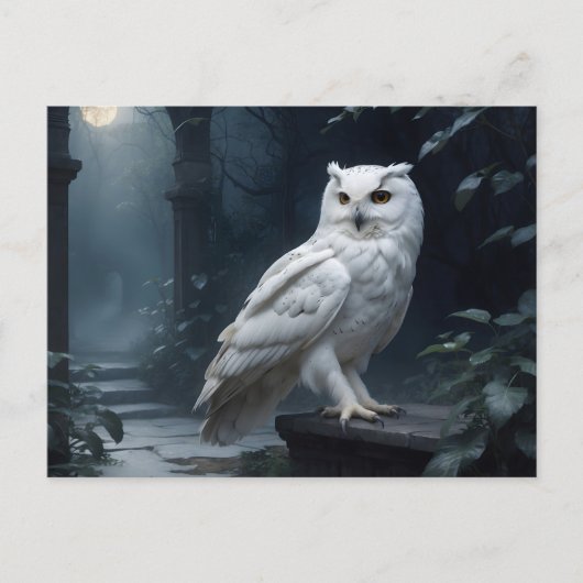 Witte uil in de nacht briefkaart (Voorkant)