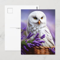 Witte Uil in Lavendel, Postcrossing
