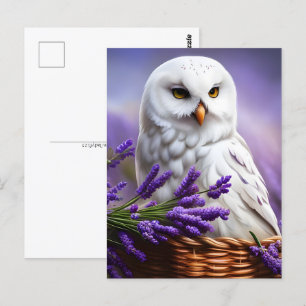 Witte Uil in Lavendel, Postcrossing Briefkaart