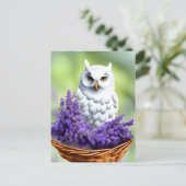 Witte Uil in Lavendel, Postcrossing Briefkaart (Staand voorkant)