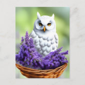 Witte Uil in Lavendel, Postcrossing Briefkaart (Voorkant)