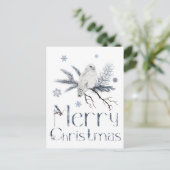 Witte Uil Op Een Tak Van Een Pijnboom Briefkaart (Staand voorkant)