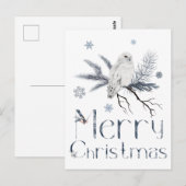 Witte Uil Op Een Tak Van Een Pijnboom Briefkaart (Voorkant / Achterkant)