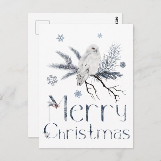 Witte Uil Op Een Tak Van Een Pijnboom Briefkaart (Voorkant / Achterkant)