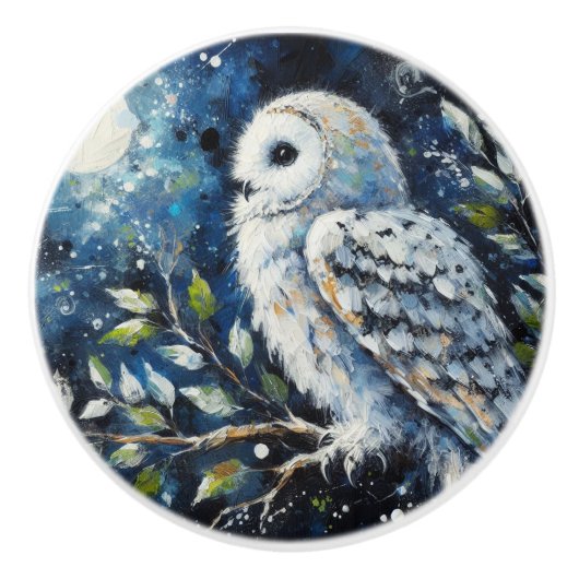 Witte Uil op tak in maanlicht schilderen Keramische Knop (Voorkant)