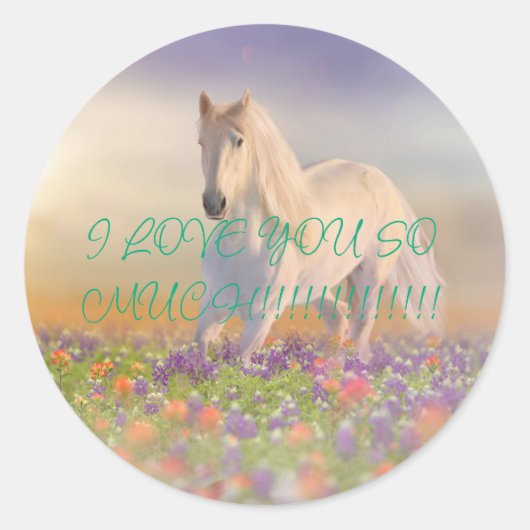 WITTE UNIEKE HORSIE PONY RONDE STICKER (Voorkant)