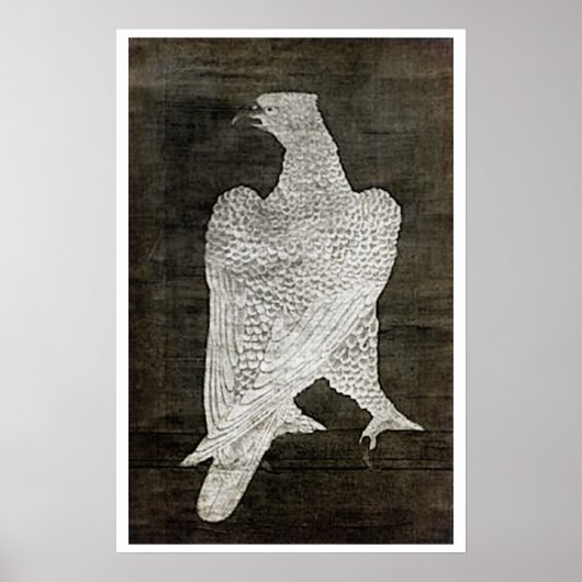 Witte valk - 1644 poster (Voorkant)