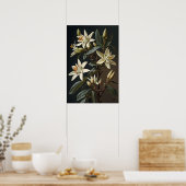 Witte Vanille Bloemen Art Print Poster (Keuken)