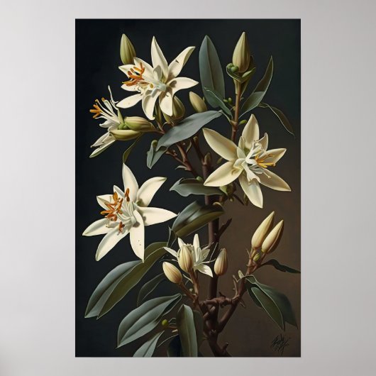 Witte Vanille Bloemen Art Print Poster (Voorkant)