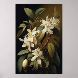 Witte Vanille Bloemen Art Print Poster