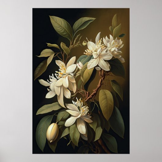 Witte Vanille Bloemen Art Print Poster (Voorkant)