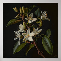 Witte Vanille Bloemen Art Print Poster