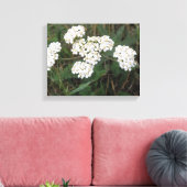 Witte veldbloemen Canvasprint Canvas Afdruk (Insitu (Woonkamer))