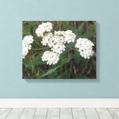 Witte veldbloemen Canvasprint Canvas Afdruk (Insitu (Houten vloer))