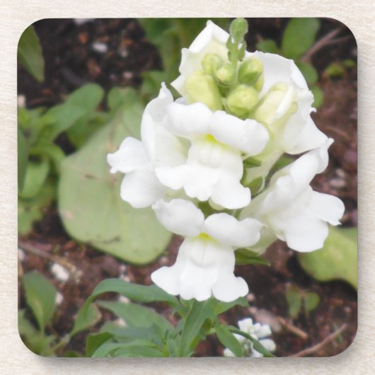 Witte ventilator bier onderzetter (Voorkant)