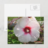 Witte ventilator briefkaart (Voorkant / Achterkant)