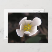 Witte ventilator briefkaart (Voorkant / Achterkant)