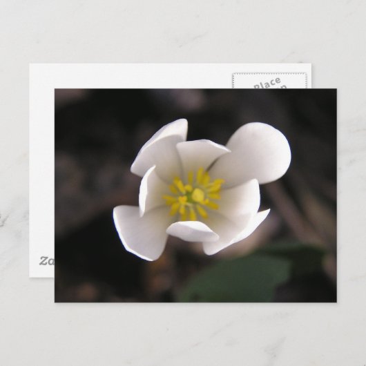 Witte ventilator briefkaart (Voorkant / Achterkant)