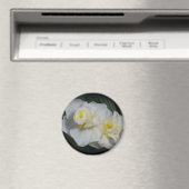 Witte ventilator magneet (Insitu (Vaatwasser))