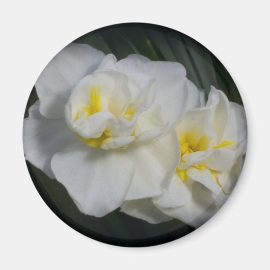 Witte ventilator magneet (Voorkant)